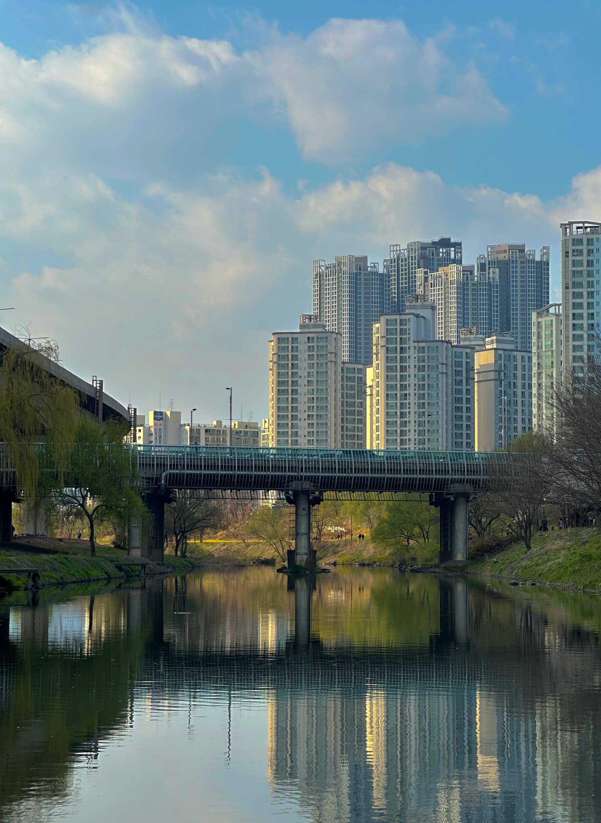 이사 후, 산책 2025.04.